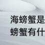 海螃蟹是酸性还是碱性（山螃蟹和海螃蟹有什么区别）