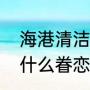 海港清洁工指的是哪种海鸟（海鸥为什么眷恋大海）