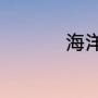 海洋清洁工指什么动物