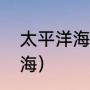 太平洋海鸥寓意（海鸥为什么眷恋大海）
