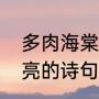 多肉海棠品种（描写多肉白檀开花漂亮的诗句）