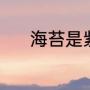 海苔是紫菜吗（海苔是紫菜吗）