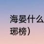 海晏什么意思（海宴为什么能写出琅琊榜）