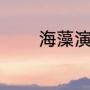 海藻演员原名（海藻扮演者）