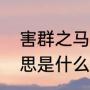 害群之马是什么意思（害群之马的意思是什么）