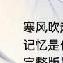 寒风吹起，细雨迷离，风雨揭开我的记忆是什么歌的歌词（细雨迷离原唱完整版）