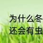 为什么冬天还有咬人的蚊子啊（冬天还会有虫子咬人吗）