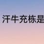 汗牛充栋是什么意（汗牛充栋的意思）