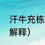 汗牛充栋是什么意思（汗牛充栋成语解释）