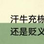汗牛充栋是什么意（汗牛充栋是褒义还是贬义）