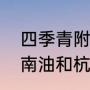 四季青附近有什么好玩的地方（深圳南油和杭州四季青哪个好）