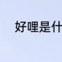 好哩是什么意思（好哩怎么造句）