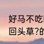 好马不吃回头驴（急脑转弯:好马不吃回头草?的答案是什么）