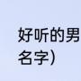 好听的男生名字（有什么好听的男孩名字）