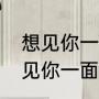 想见你一面真的很难该如何表达（想见你一面好难的句子）