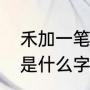 禾加一笔什么字正确答案（禾加一笔是什么字答案）