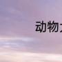 动物大联盟圣诞宠物属性