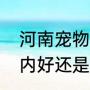河南宠物鼠猪能吃吗（养猪是河南省内好还是省外好）