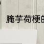 腌芋荷梗的做法（腌芋荷梗的做法）
