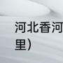 河北香河有什么好玩的（香河属于哪里）