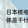 日本核电站干嘛的（挖机在核电站具体是干什么工）