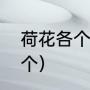 荷花各个阶段的古称（莲花的别称三个）