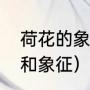 荷花的象征意义是什么（荷花的寓意和象征）