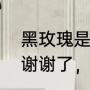 黑玫瑰是什么（黑玫瑰的含义是什么谢谢了，大神帮忙啊）