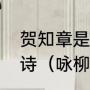 贺知章是什么朝代的人，还写过什么诗（咏柳贺知章写多少岁）