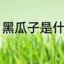 黑瓜子是什么瓜的子（黑瓜子怎么吃）