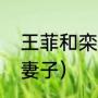王菲和栾树什么时候在一起的（栾树妻子）