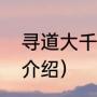 寻道大千反击流攻略（曙光英雄基础介绍）