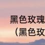 黑色玫瑰叫什么名字她的花语是什么（黑色玫瑰6字花语）