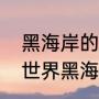 黑海岸的三个码头都是去哪的（魔兽世界黑海岸码头在那里）