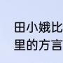 田小娥比白孝文大几岁（黑娃子是哪里的方言）