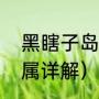 黑瞎子岛有多少人居住（黑瞎子岛归属详解）