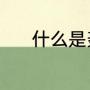 什么是轰趴（轰趴是什么意思）