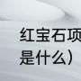 红宝石项链配什么耳环（红宝石星月是什么）
