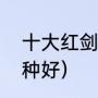 十大红剑鱼品种（高鳍红箭鱼哪个品种好）