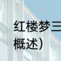 红楼梦三个故事梗概（红楼梦1到8回概述）