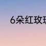 6朵红玫瑰花语（6朵红玫瑰花语）