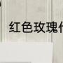 红色玫瑰代表什么（红玫瑰的含义）