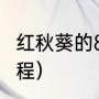 红秋葵的8种最佳吃法（红秋葵生长过程）