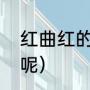 红曲红的正确配方（红曲红是指什么呢）