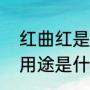 红曲红是什么（红曲红加入食品的用用途是什么）