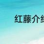 红藤介绍（红藤的产地与别名）