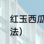 红玉西瓜种植方法（红玉西瓜种植方法）