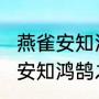 燕雀安知鸿鹄之志是什么意思（“燕雀安知鸿鹄之志哉”中的“燕”读几声）