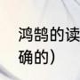 鸿鹄的读音和意思（鸿鹄怎么念是正确的）
