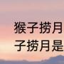 猴子捞月的故事原文（仙人指路，猴子捞月是属于什么故事）